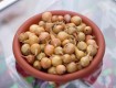 Хранение лука севка зимой в домашних условиях