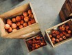 Варианты для изготовления ящика для хранения овощей